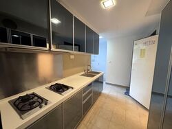 CityVista Residences (D9), Condominium #565237461